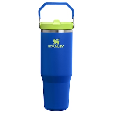 スタンレー（STANLEY）水筒 ボトル マグ アイスフロー フリップストロー2.0 真空断熱タンブラー 30oz 1200185054129
