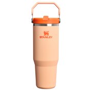 スタンレー(STANLEY)水筒 ボトル マグ アイスフロー フリップストロー2.0 真空断熱タンブラー 30oz 1200185054174