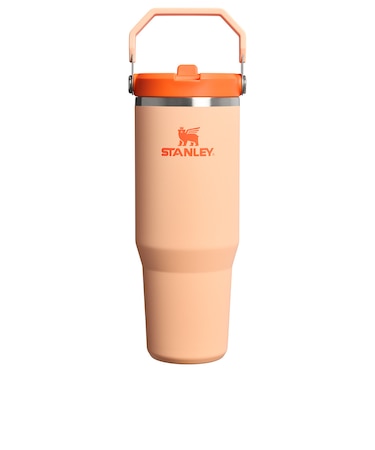 スタンレー（STANLEY）水筒 ボトル マグ アイスフロー フリップストロー2.0 真空断熱タンブラー 30oz 1200185054174