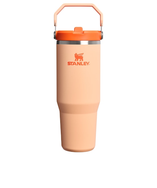 スタンレー（STANLEY）水筒 ボトル マグ アイスフロー フリップストロー2.0 真空断熱タンブラー 30oz 1200185054174