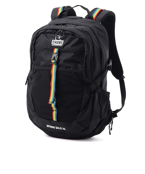 チャムス（CHUMS）バックパック リュック スプリングデール 25L CH60-4098-K042
