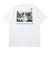 ザ・ノース・フェイス（THE NORTH FACE）ショートスリーブ 60th グラフィックロゴTシャツ NT82646 W