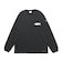 コロンビア（Columbia）アーバンハイクグラフィックロングスリーブTシャツ PG3669 012