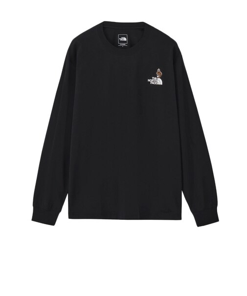 ザ・ノース・フェイス（THE NORTH FACE）ロングスリーブ フラッシュドライズーピッカーTシャツ NT82645 K