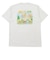 ザ・ノース・フェイス（THE NORTH FACE）ショートスリーブLDHオールドスタイルTシャツ NT82635 WX