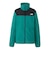ザ・ノース・フェイス（THE NORTH FACE）フルジップ フリース マウンテンバーサマイクロジャケット NLW72504 RT