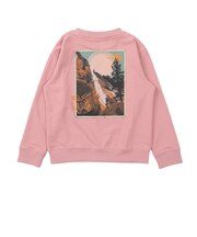 ザ・ノース・フェイス（THE NORTH FACE）トドラー ロゴクルーネックスウェット NTT62637 PR