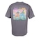 ザ・ノース・フェイス（THE NORTH FACE）ショートスリーブLDHプレゼントスタイルTシャツ NT82644 SP
