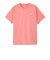 ザ・ノース・フェイス（THE NORTH FACE）ショートスリーブ フラッシュドライ ヌプシコットンTシャツ NTW32536 CH