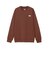 ザ・ノース・フェイス（THE NORTH FACE）トレーナー スウェット モーションクルー NT32496 SQ