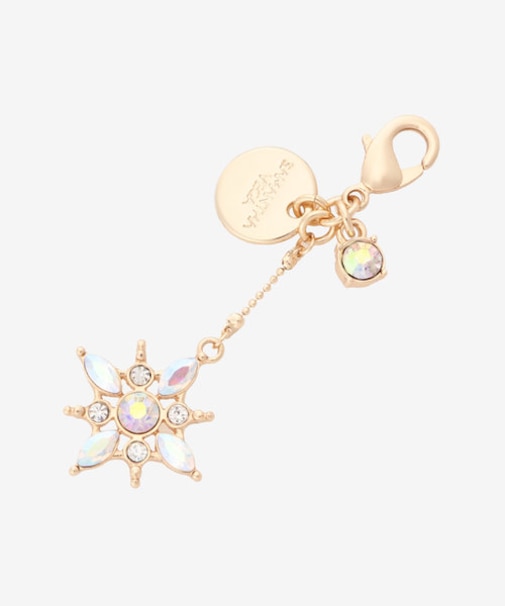 スターファスナーチャーム