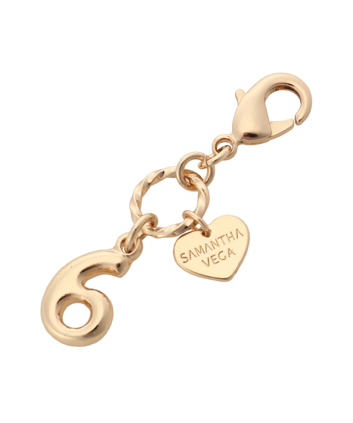 ラッキーナンバーファスナーチャーム6