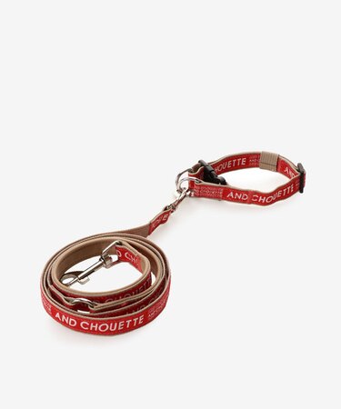 お散歩用リード（首輪付き）