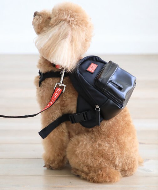 リュック型ハーネス（リード付き）