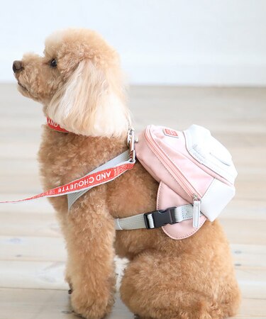 リュック型ハーネス（リード付き）