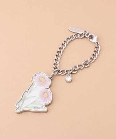 Birth floweアスターチャーム(September)
