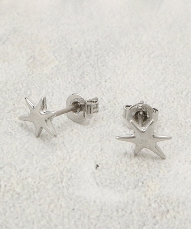 ミニスターピアス