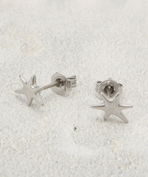 ミニスターピアス