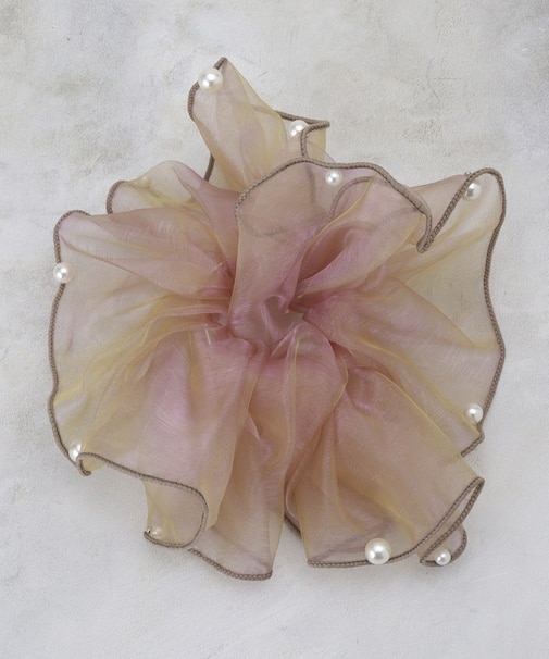 オーロラシアービッグシュシュ