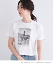 【LIFE PICTURE COLLECTION】アソートフォトTシャツ