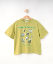 【100-120cm】猛獣恐竜フォト図鑑Tシャツ