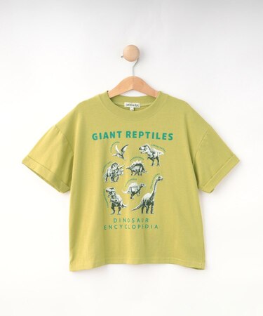【100-120cm】猛獣恐竜フォト図鑑Tシャツ