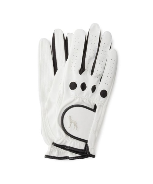 ゴルフ用両手グローブ