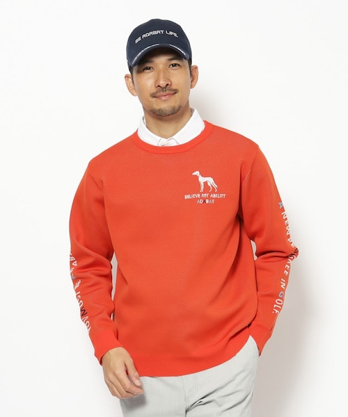 ウォッシャブル素材 サルーキジャカードニット｜アダバットの通販