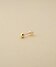 イエローゴールド(100)