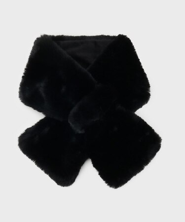 エコファーストール