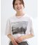 【STAR＆STRIPE】フォトTシャツ