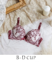 スカイラー ブラジャー（B-D）＜V Make Type＞
