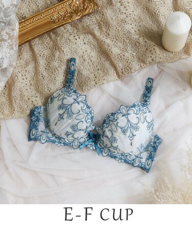 スカイラー ブラジャー（E-F）＜V Make Type＞