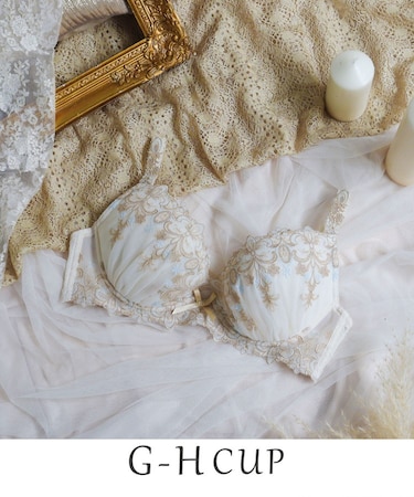 スカイラー ブラジャー(G-H)<V Make Type>