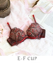 ジアン ブラジャー（E-F）＜リサマリ ミラクル谷間ブラ＞