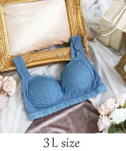 リアナ おやすみブラ (3L)