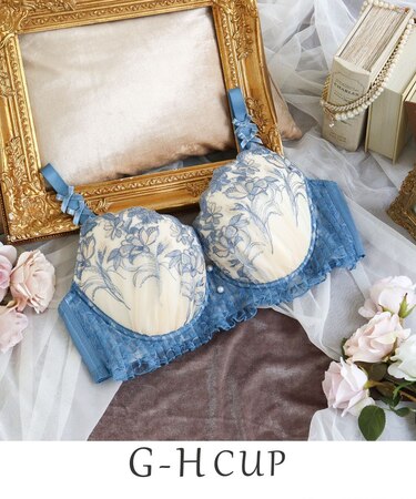 リアナ ブラジャー　（G-H）　＜バストアップタイプ＞