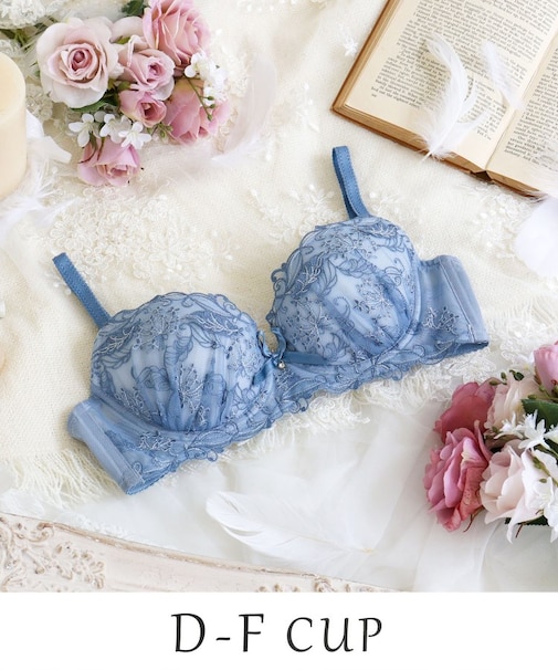 ナンシー ブラジャー （D-F） ＜スウィートリッチ＞