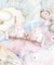 ホリー ソフトブラ