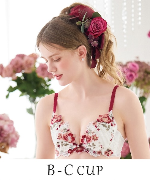 サリー ブラジャー (B-C) <V Make Type>