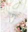 リピネ Tバック