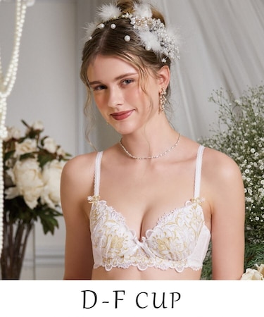 【アリーナ】 ブラジャー （D-F） ＜N Make Type＞