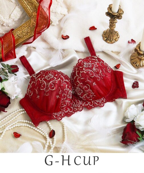 【アリーナ】 ブラジャー （G-H） ＜N Make Type＞