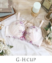 ヴァネッサ ブラジャー (G-H) <V Make Type>