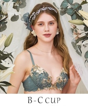 ヴァネッサ ブラジャー (B-C) <V Make Type>