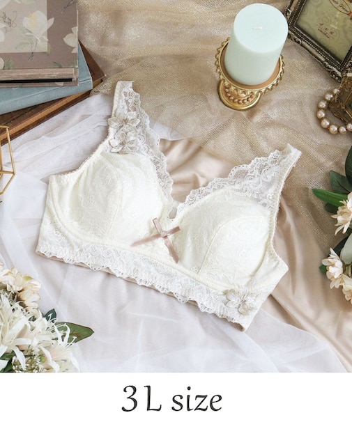 ヴァネッサ おやすみブラ (3L)