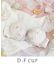 コリンナ ブラジャー (D-F) ＜リサマリミラクル谷間ブラ＞
