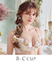 ダニエラ ブラジャー (B-C) ＜V Make Type＞