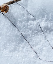 ナローコンビネックレス/ステンレス