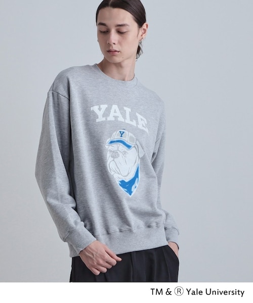 Yale 薄紫 ロゴスウェット Yale 薄紫 ロゴスウェット YALE」college logo sweat 通常販売スタート